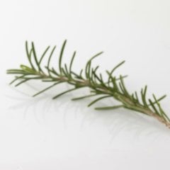 Focus Aromaterapi Damlalık 10ml